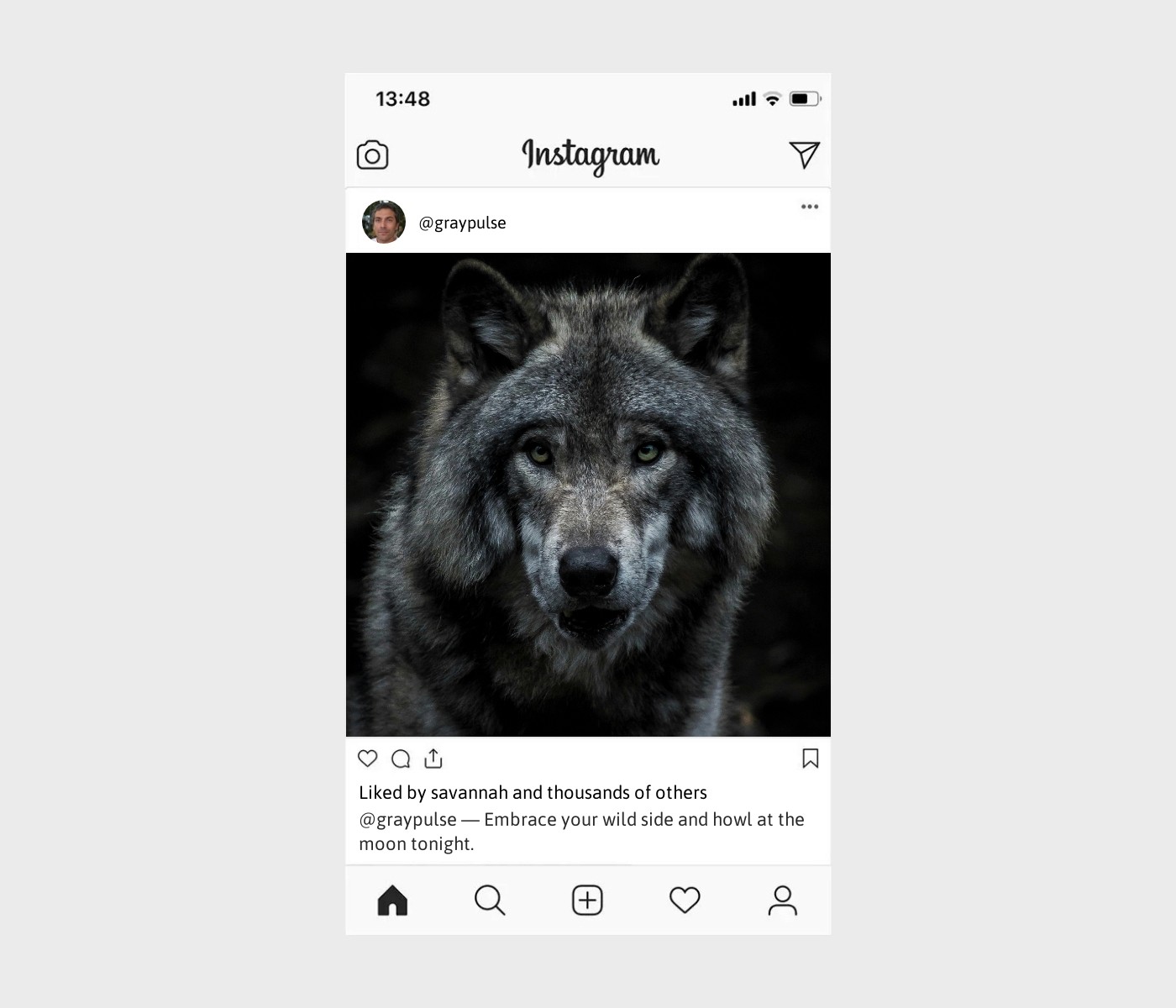 wolf-caption-for-instagram