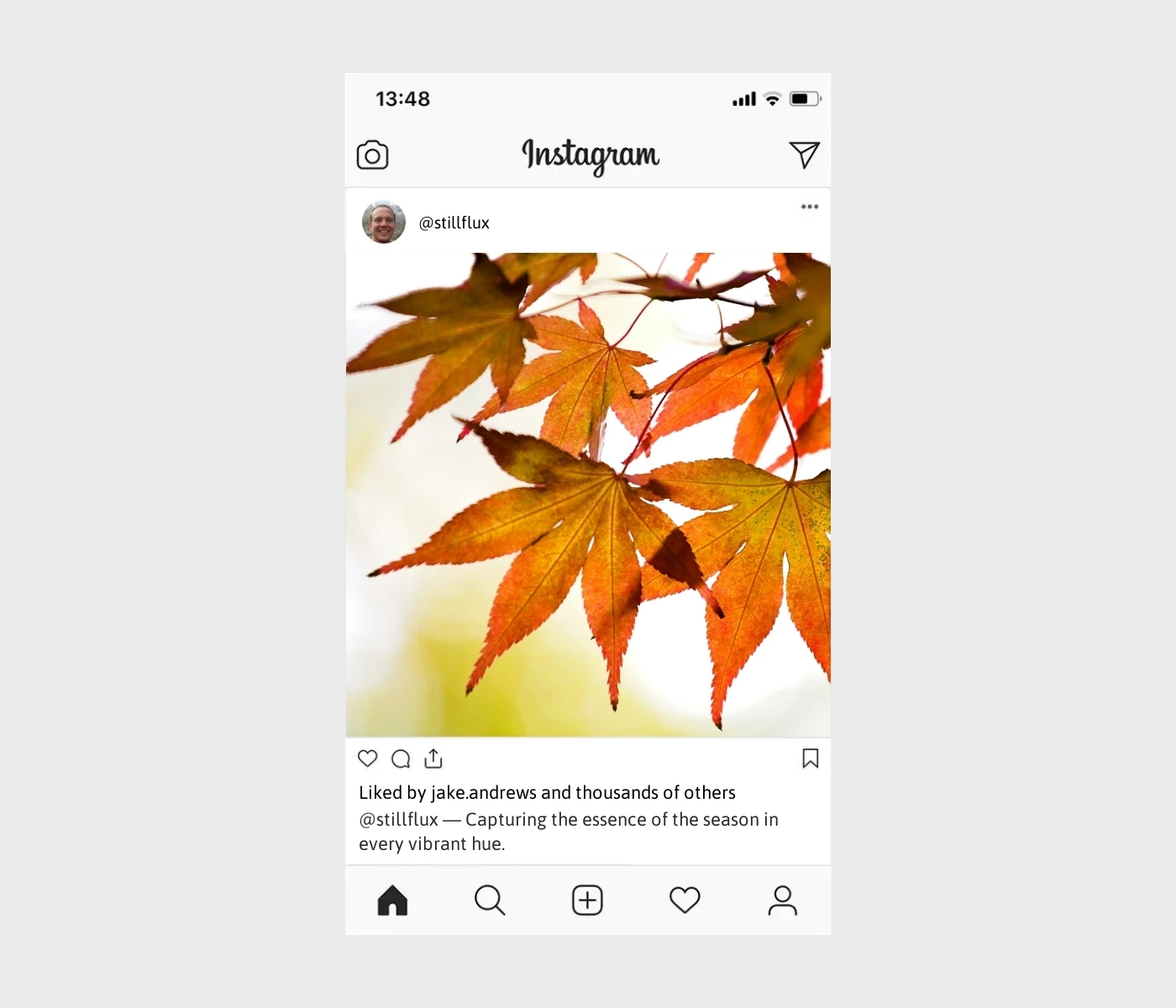 season-captions-for-instagram
