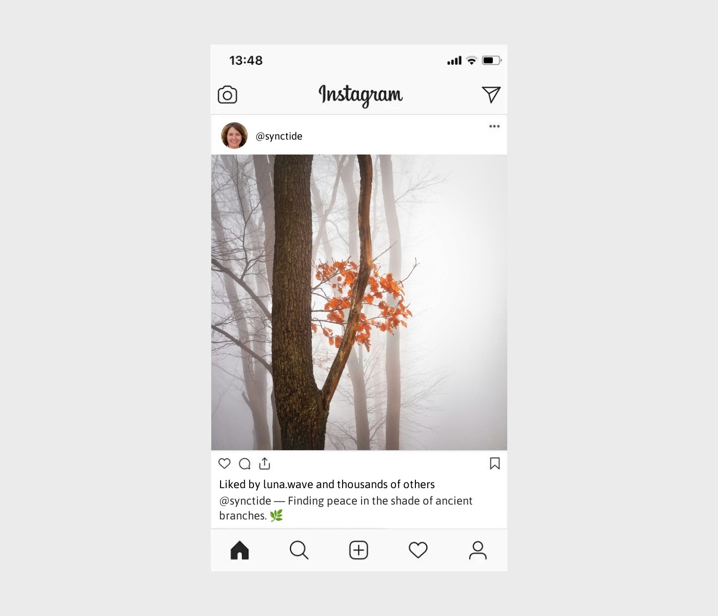 tree-captions-for-instagram