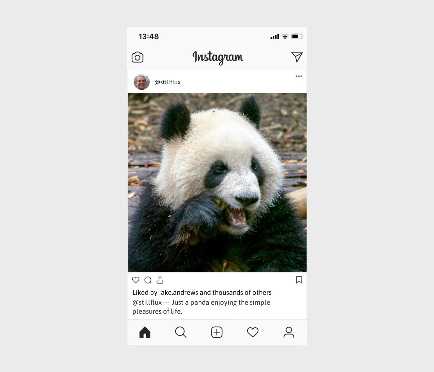 panda-captions-for-instagram