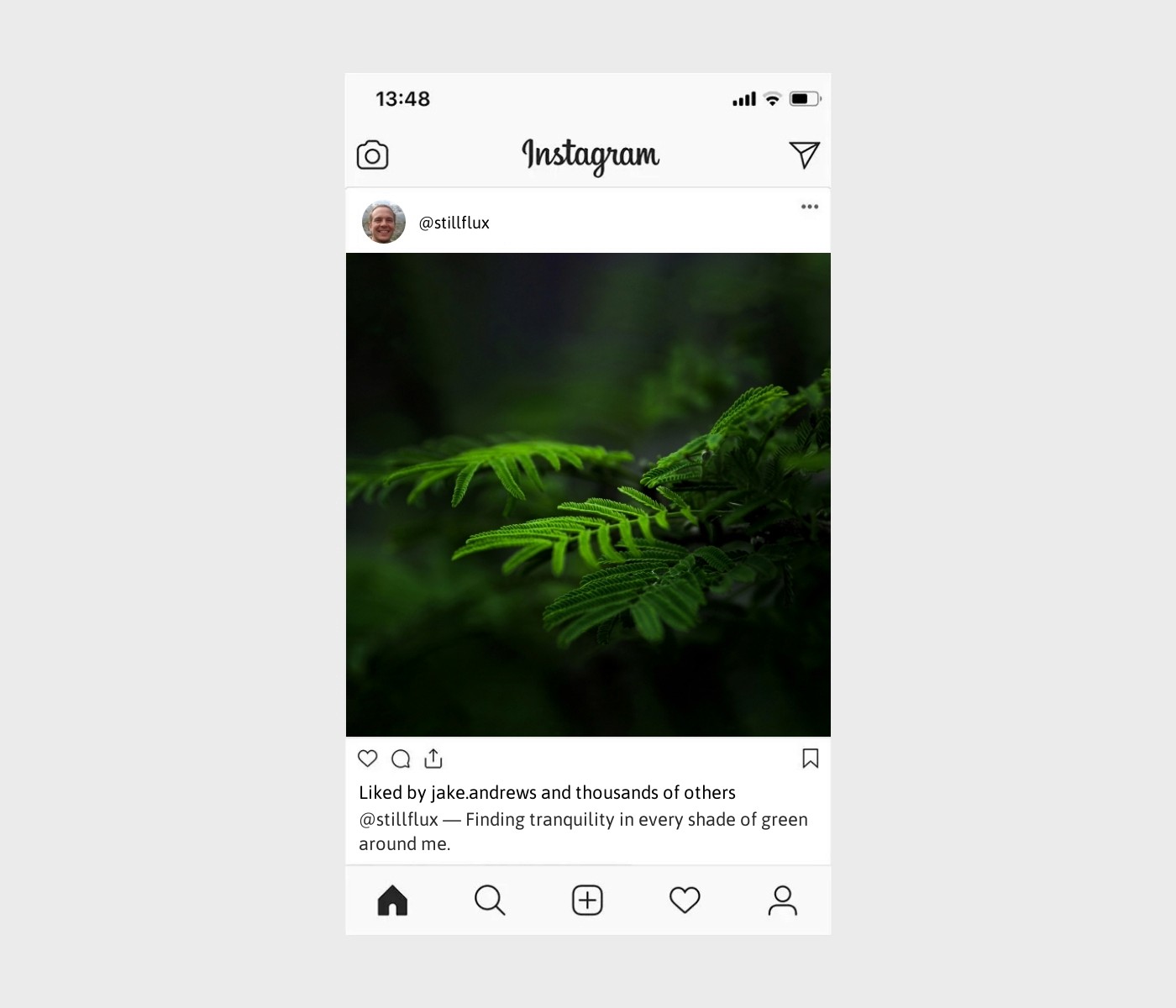 nature-green-captions-for-instagram