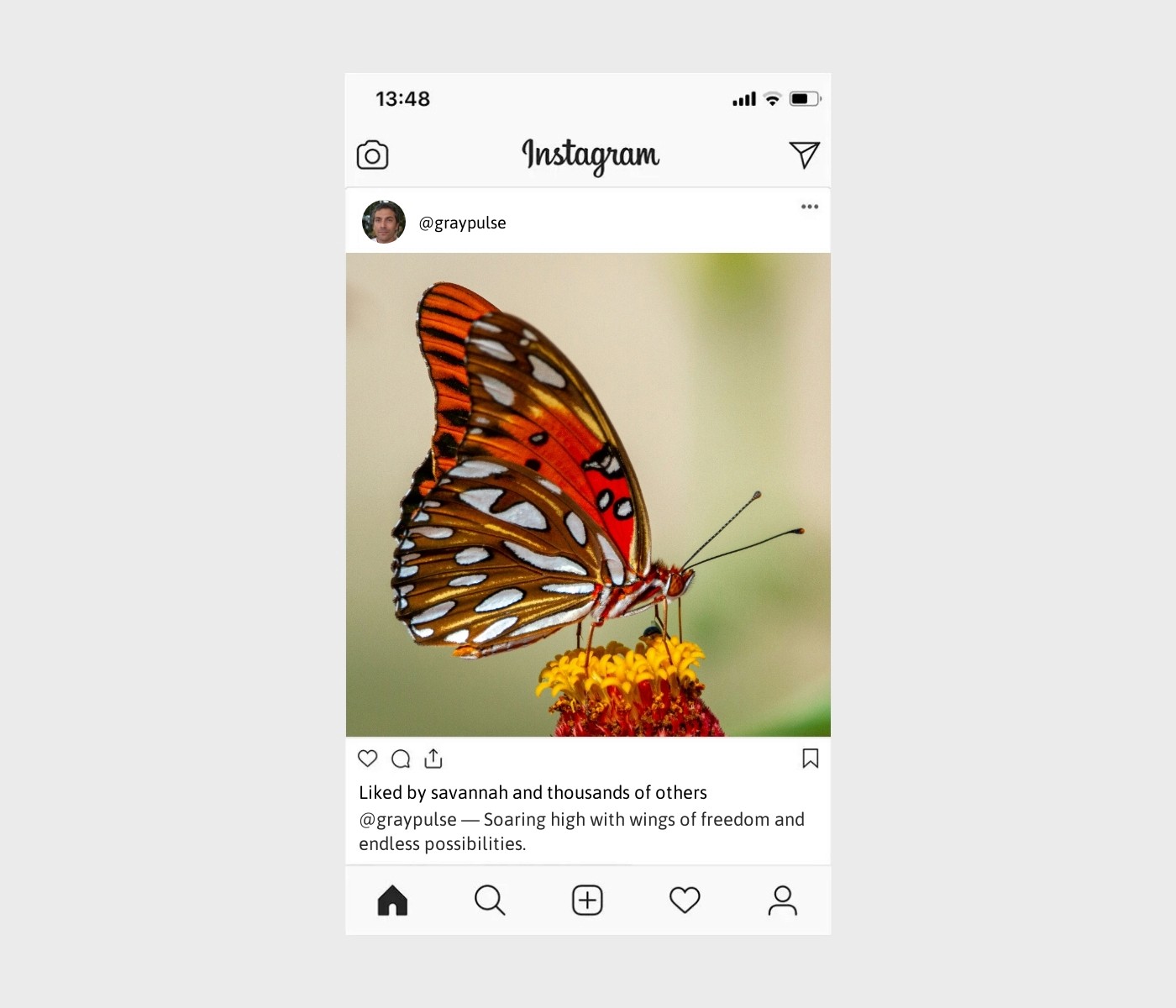 wings-captions-for-instagram