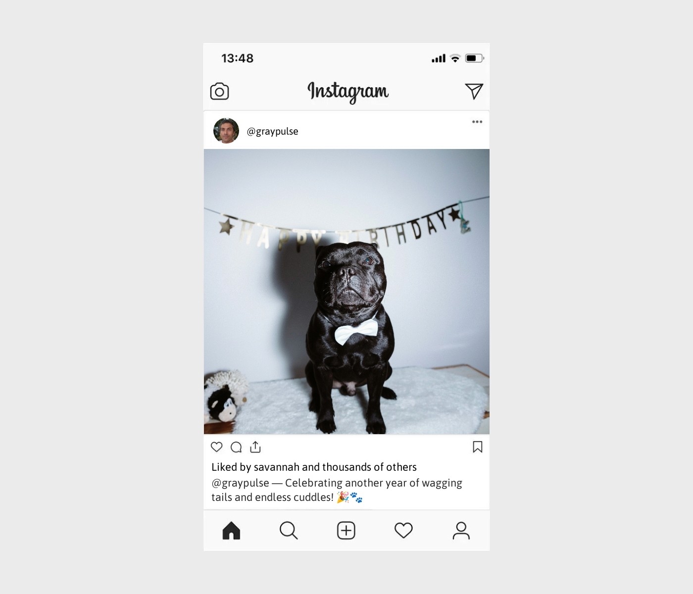 dog-birthday-captions-for-instagram