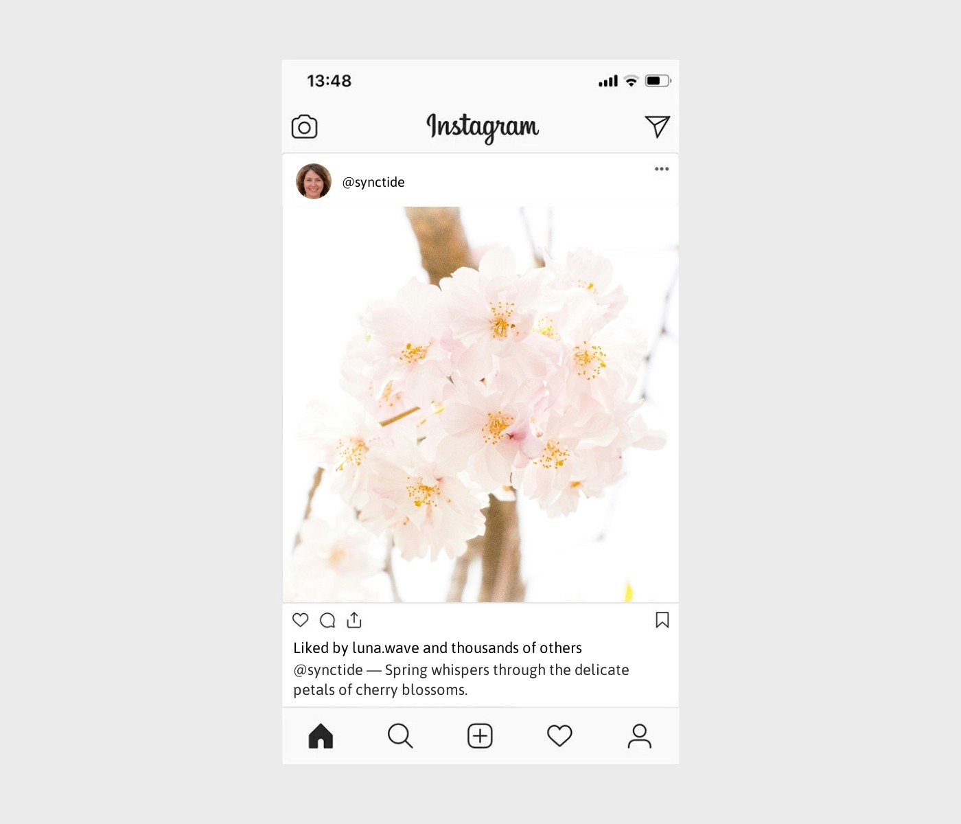 cherry-blossom-captions-for-instagram