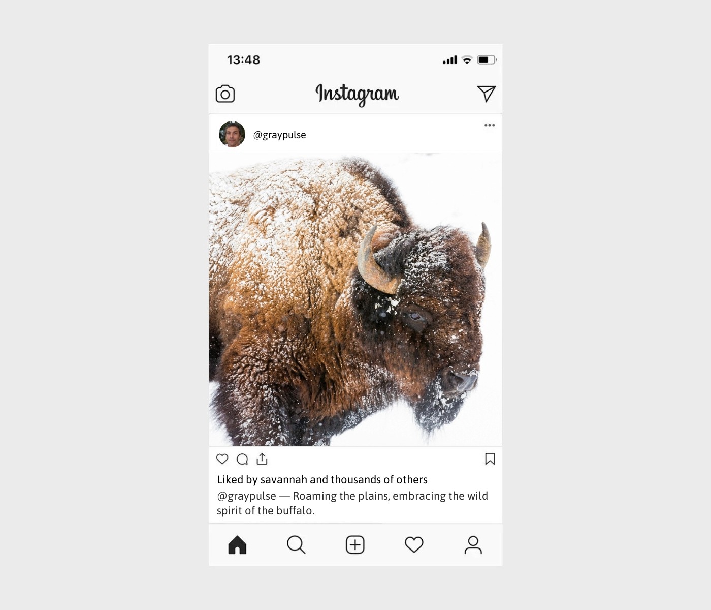buffalo-captions-for-instagram