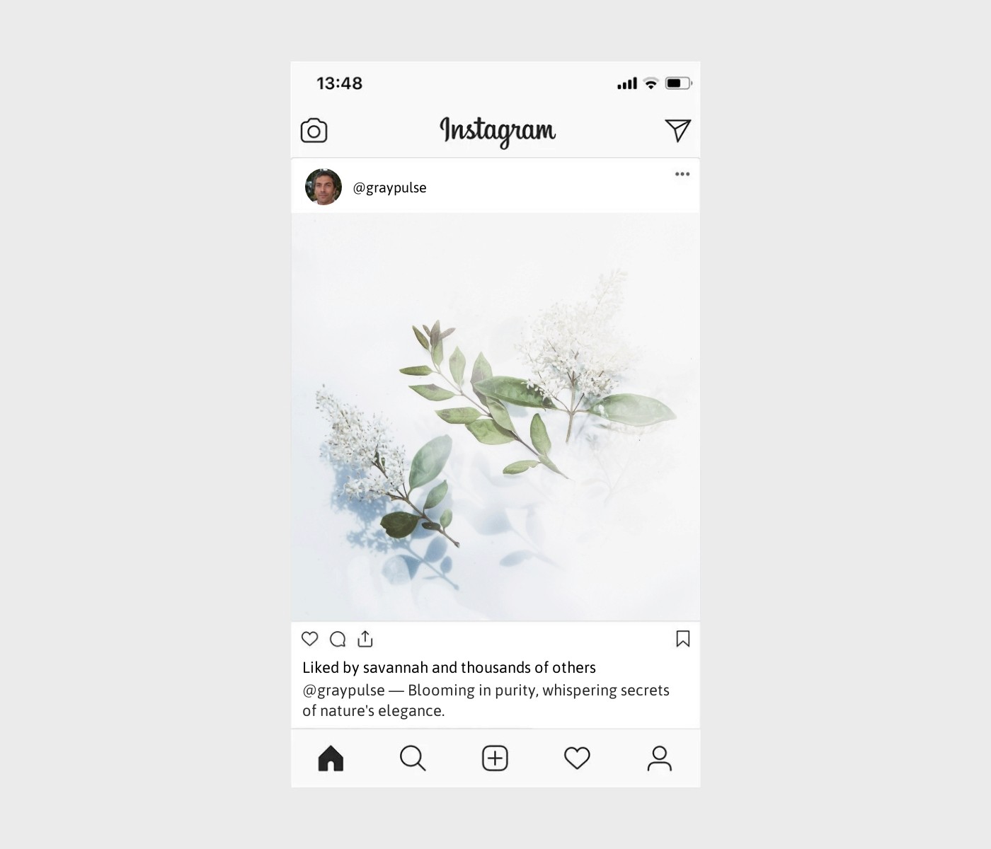 white-flower-captions-for-instagram