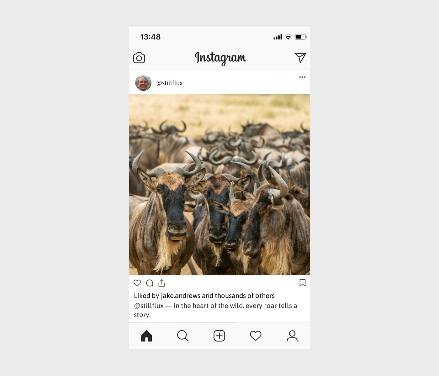 safari-captions-for-instagram
