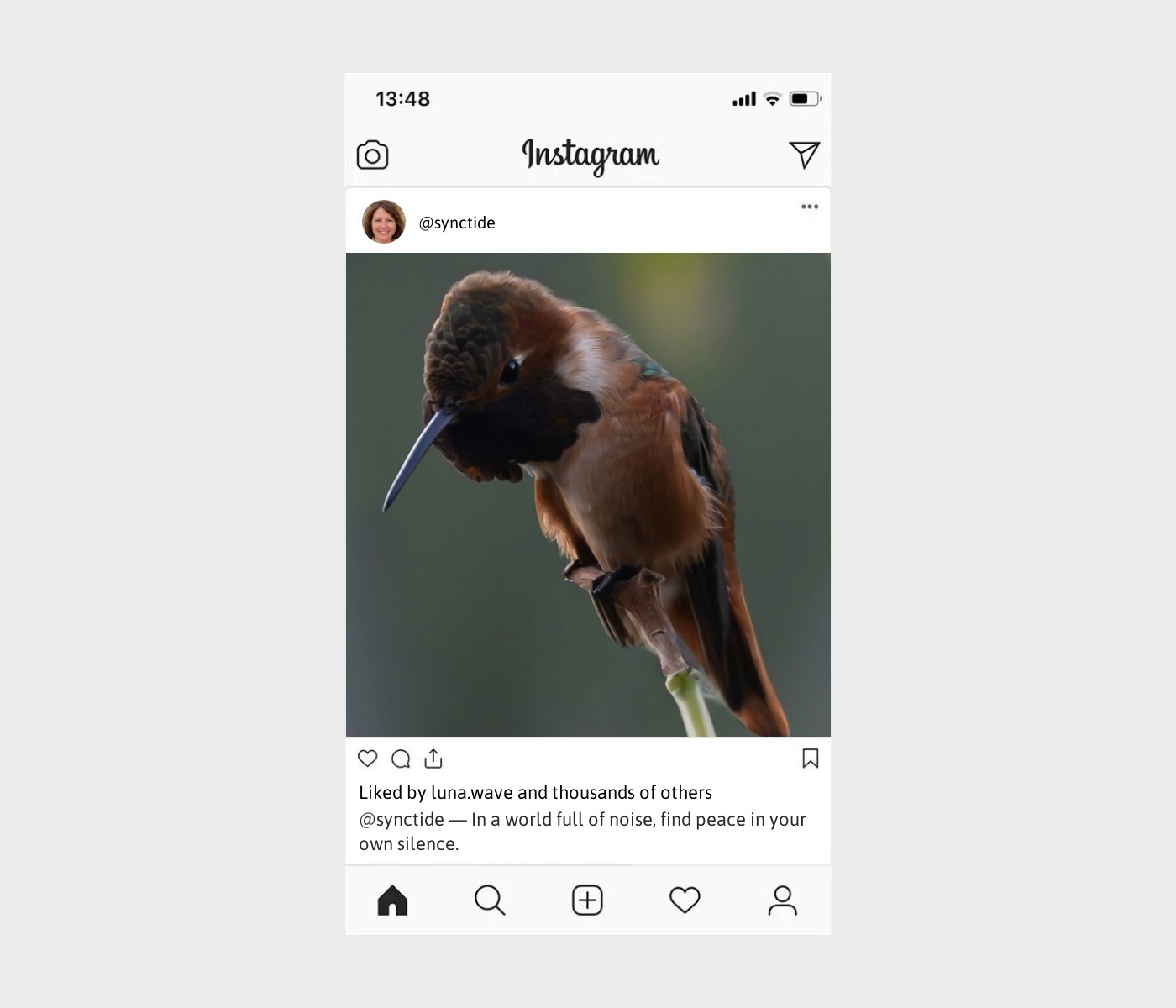 shy-captions-for-instagram