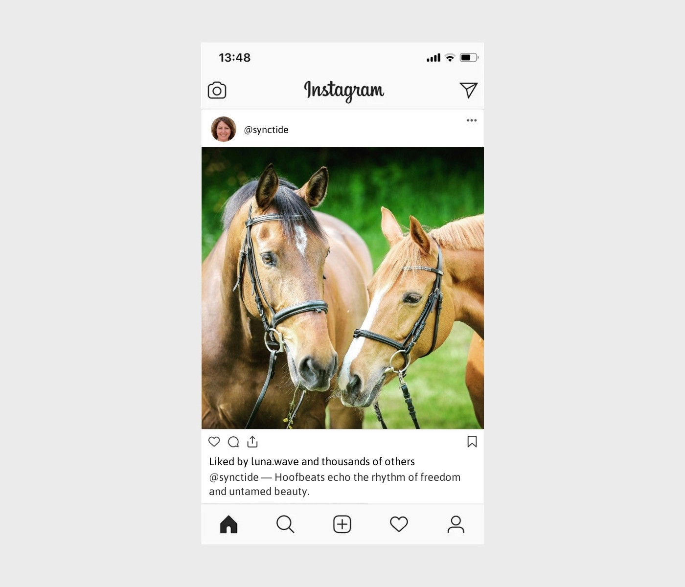 horse-captions-for-instagram