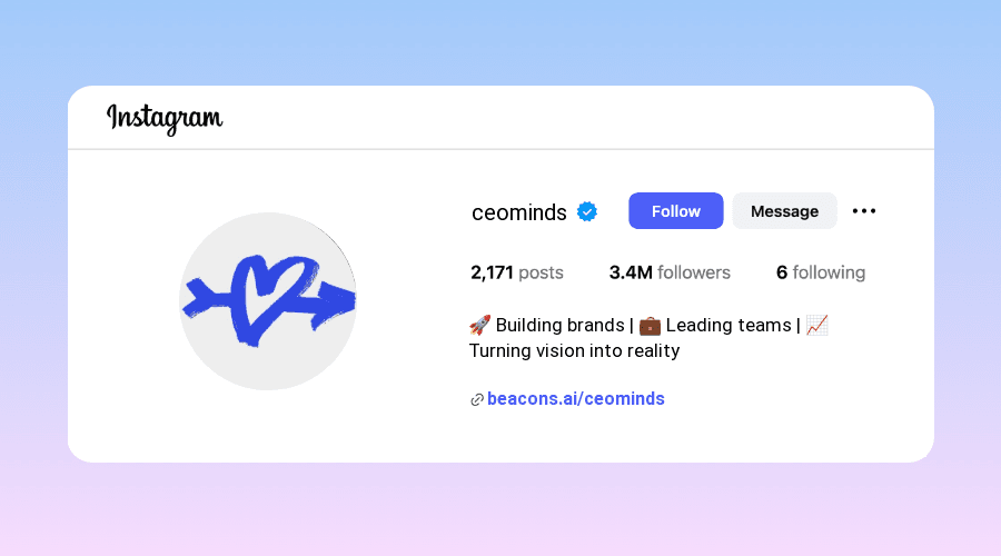 Instagram Bios for Businessmen ideas and examples