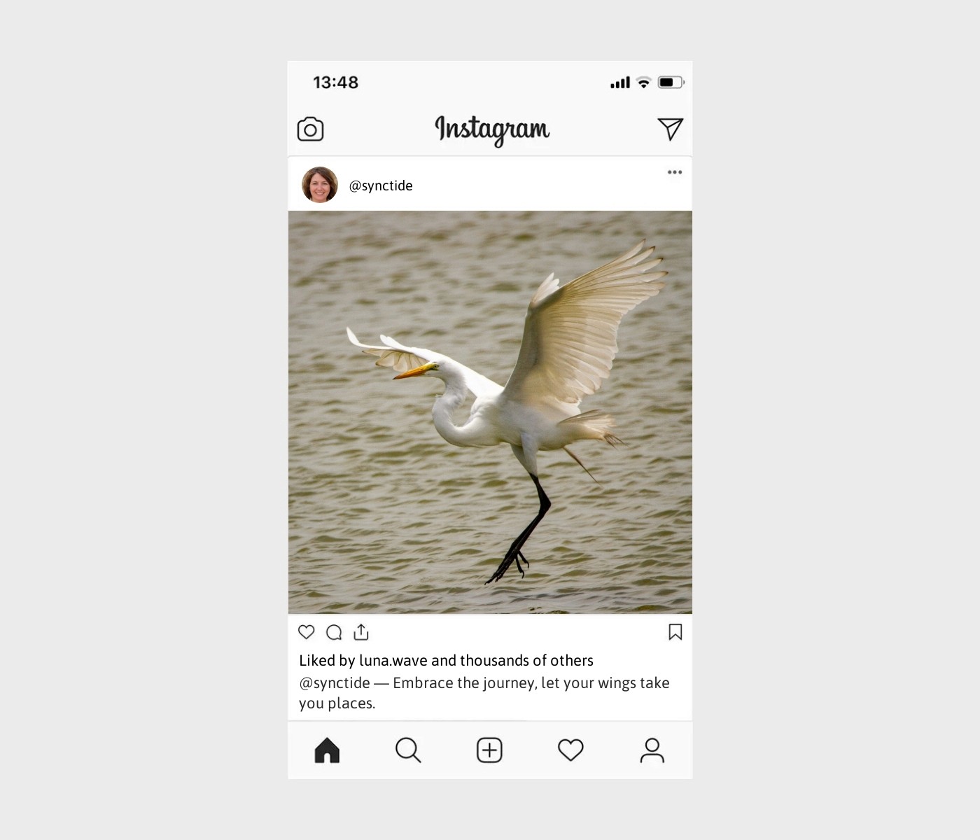 wings-captions-for-instagram