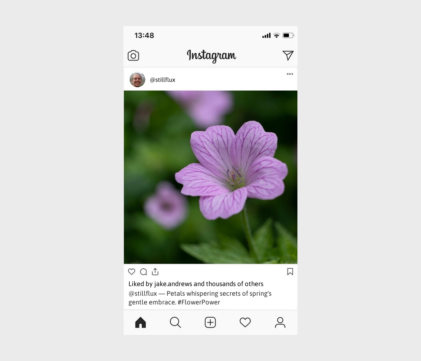 blossom-captions-for-instagram