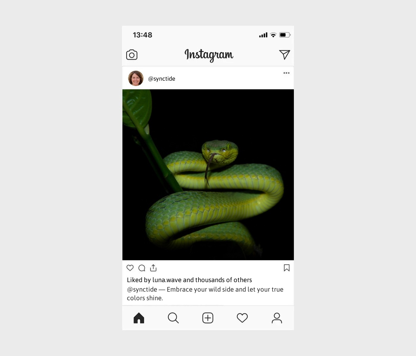snake-captions-for-instagram