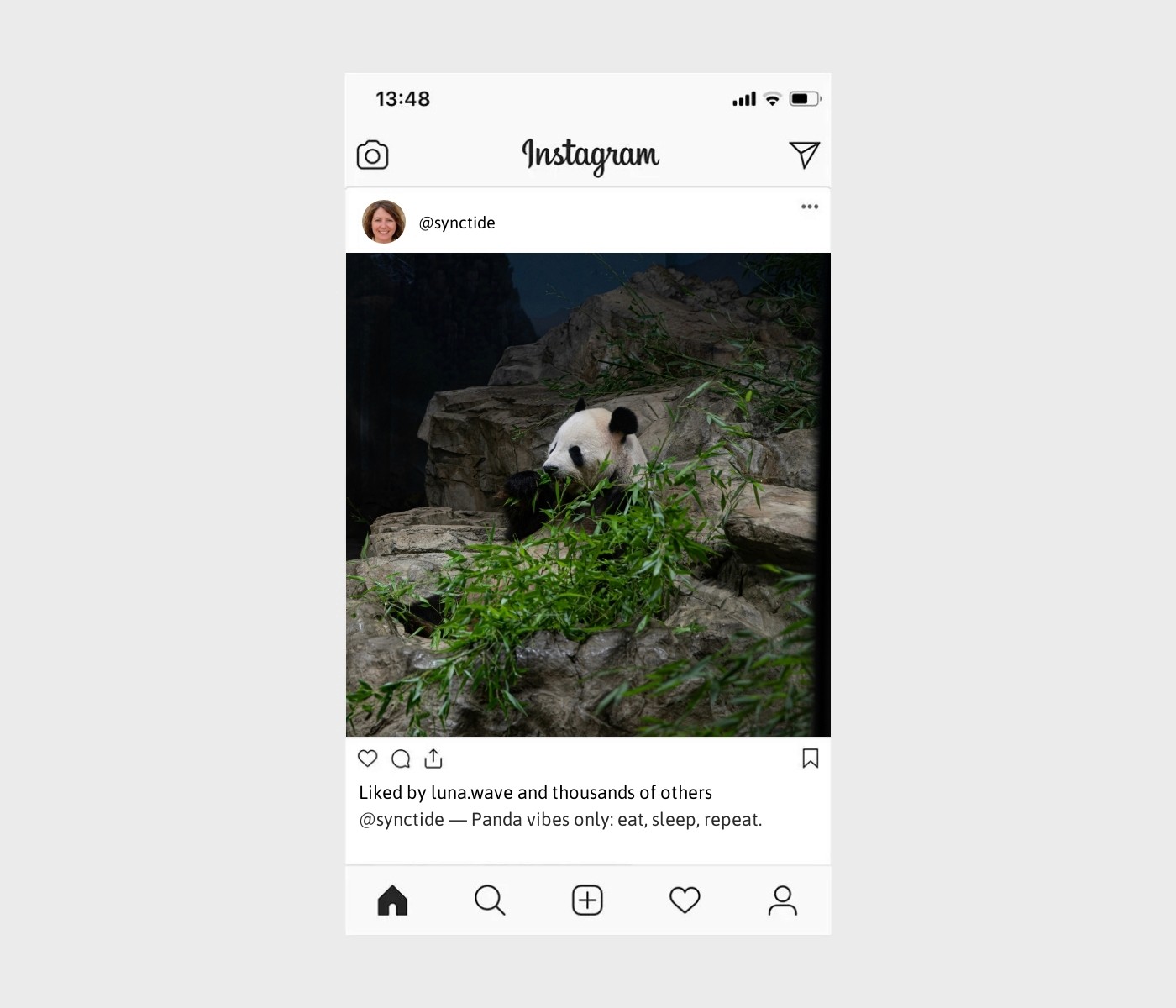 panda-captions-for-instagram