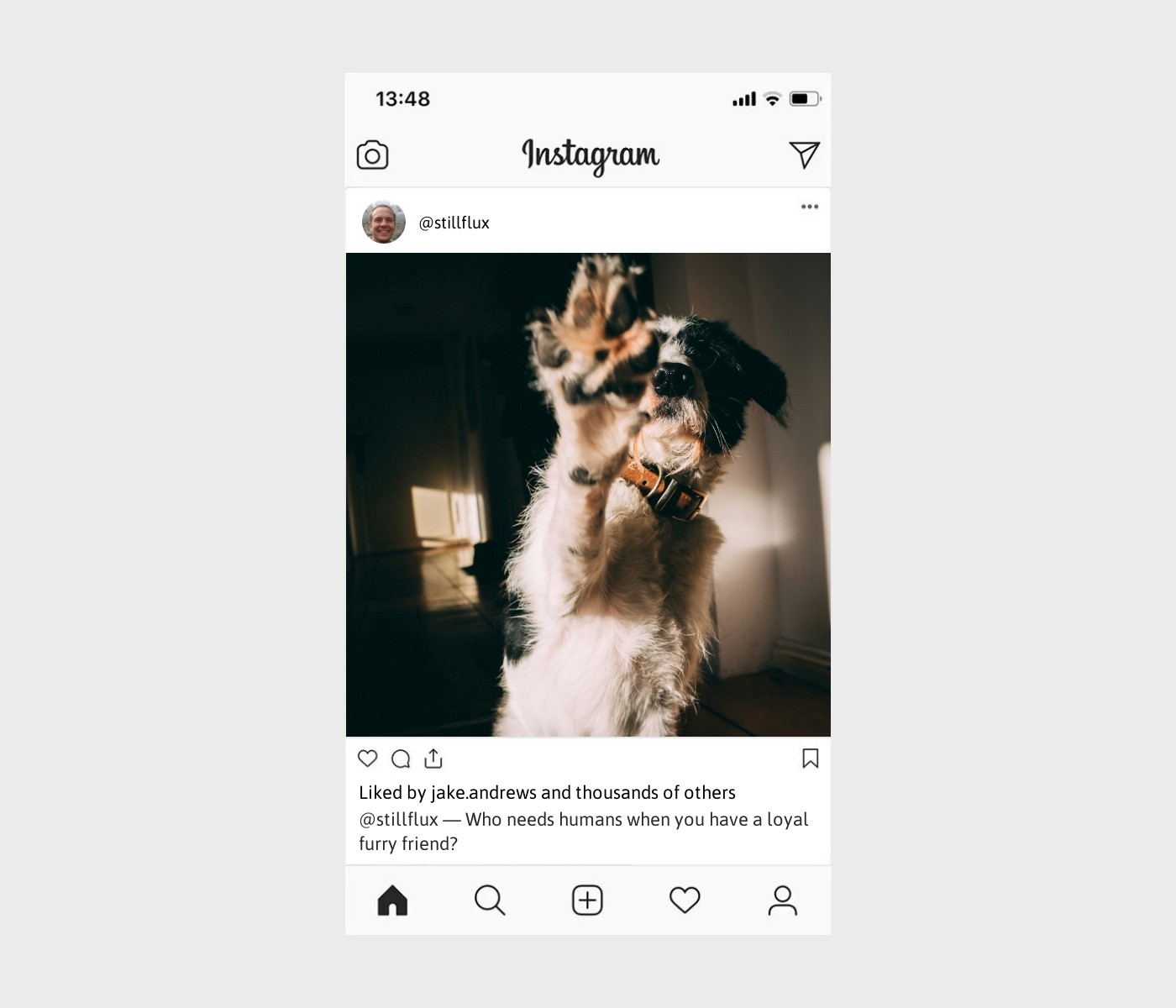dogs-are-better-than-humans-captions-for-instagram