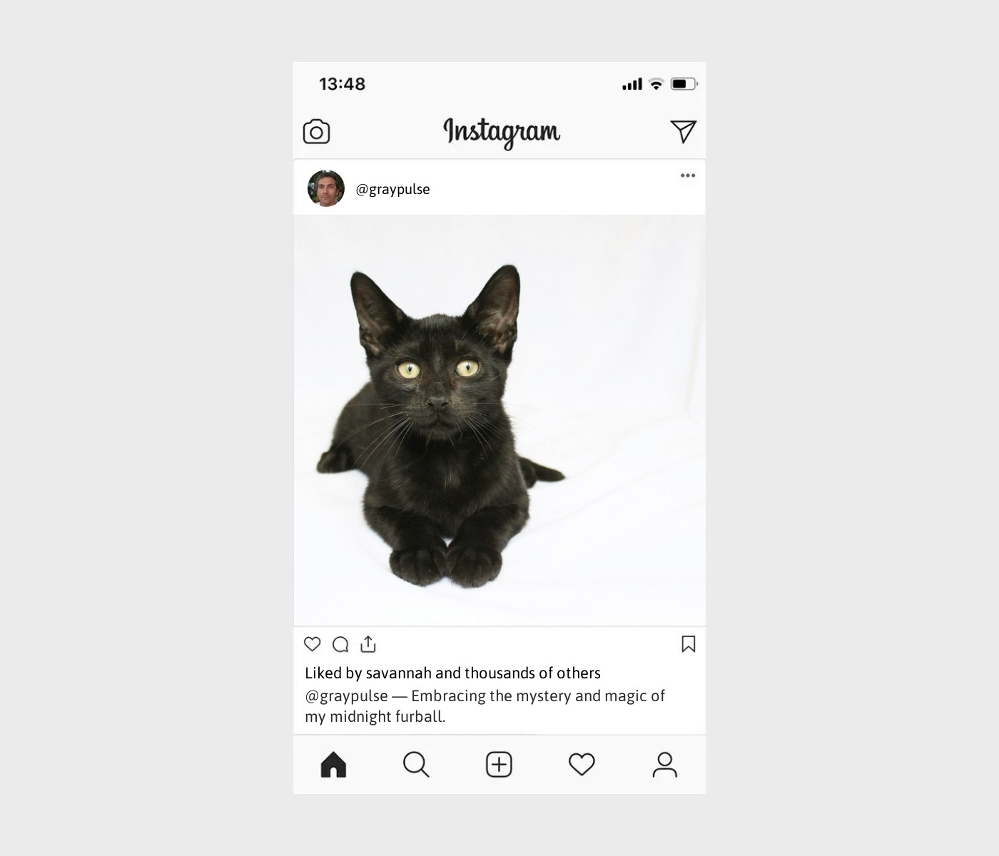 black-cat-caption-for-instagram