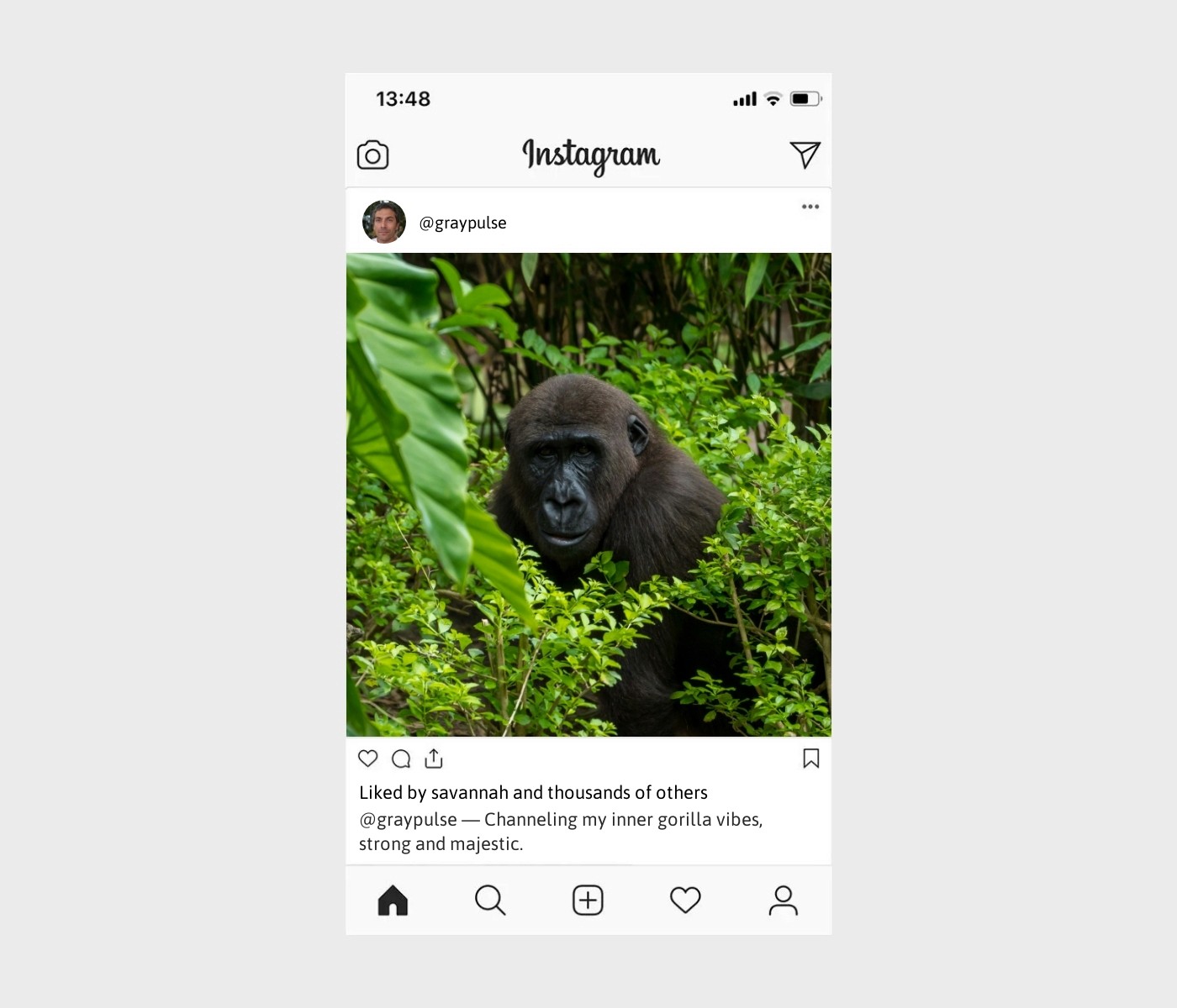 gorilla-captions-for-instagram
