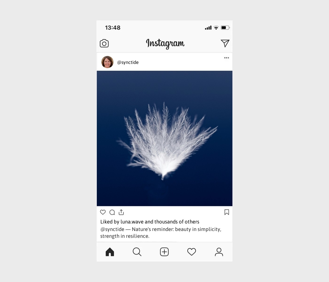 dandelion-captions-for-instagram