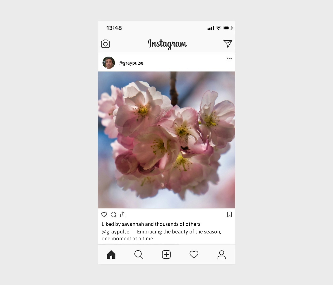 season-captions-for-instagram