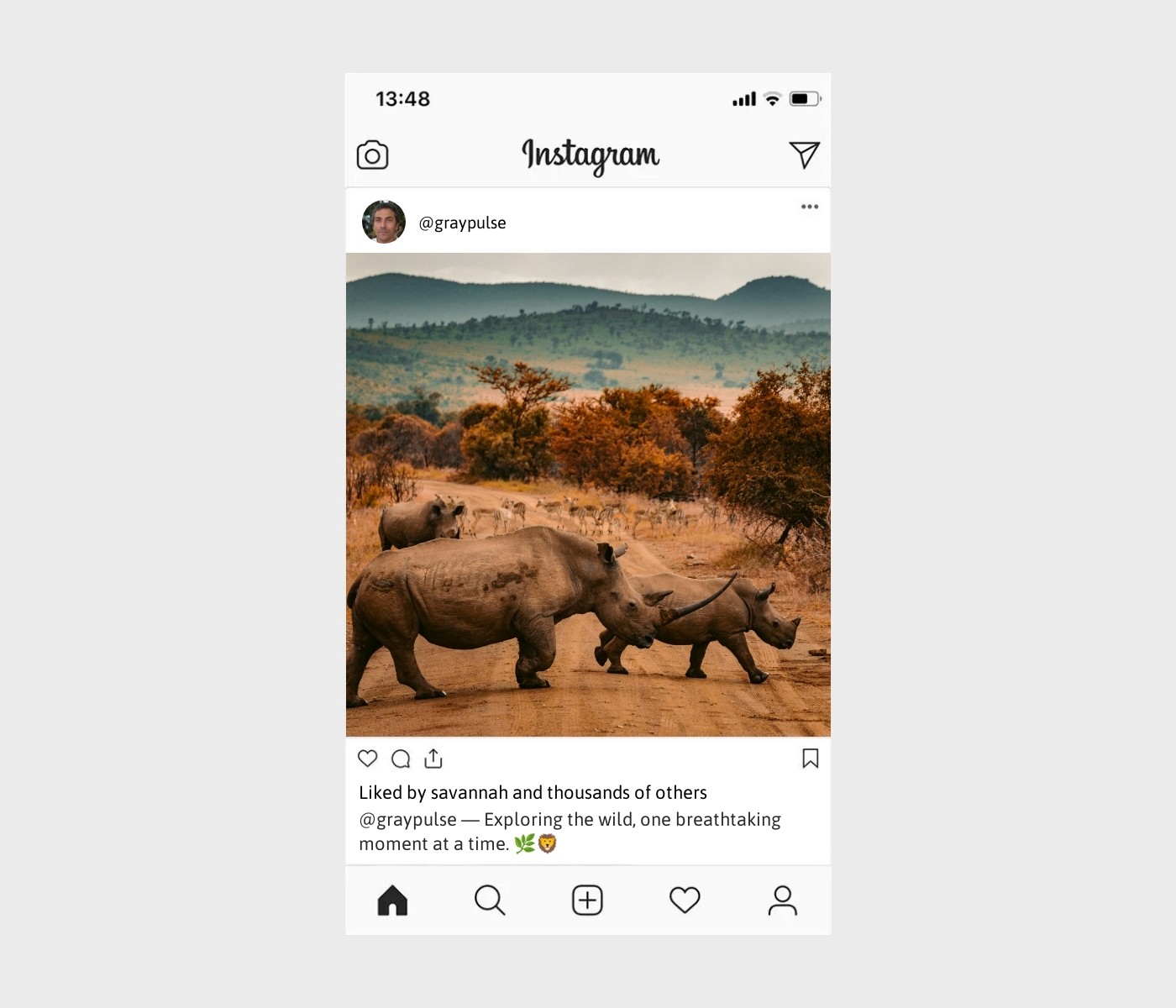 wildlife-captions-for-instagram