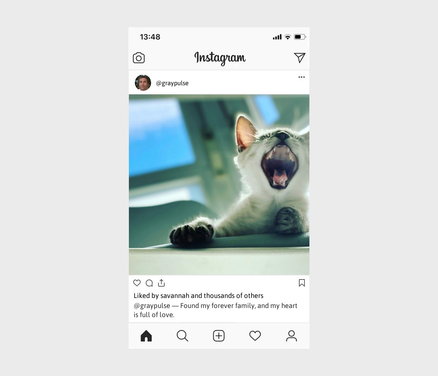adoption-captions-for-instagram