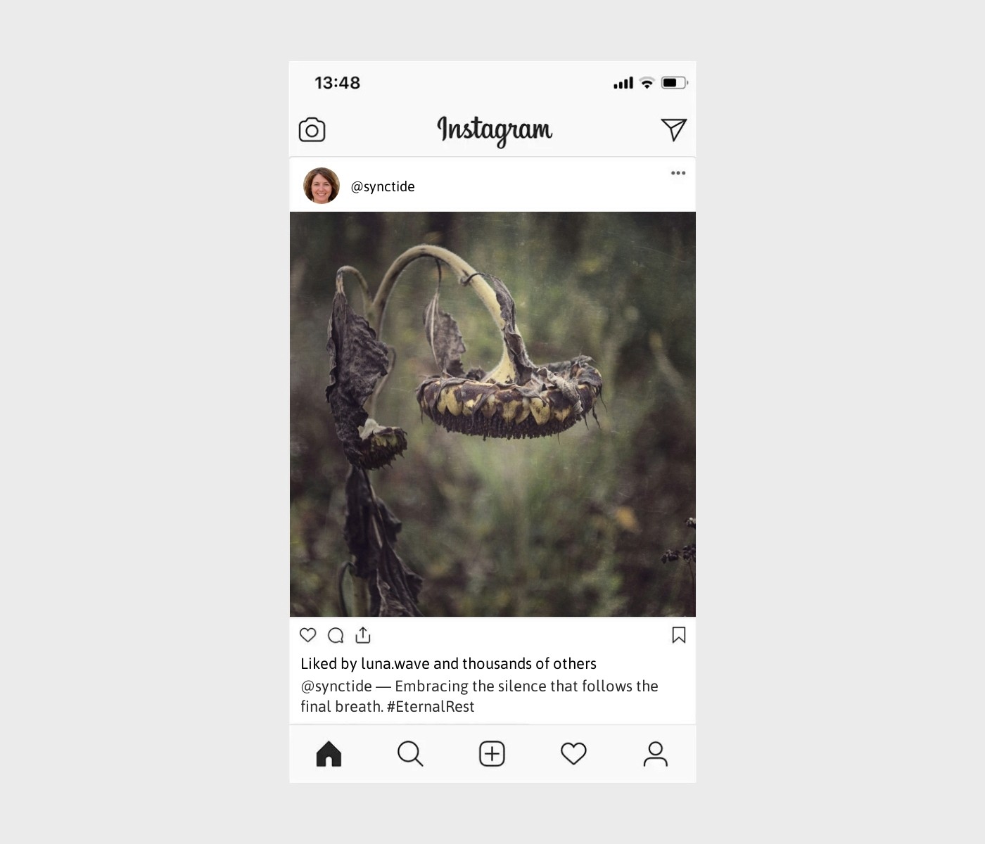 death-captions-for-instagram