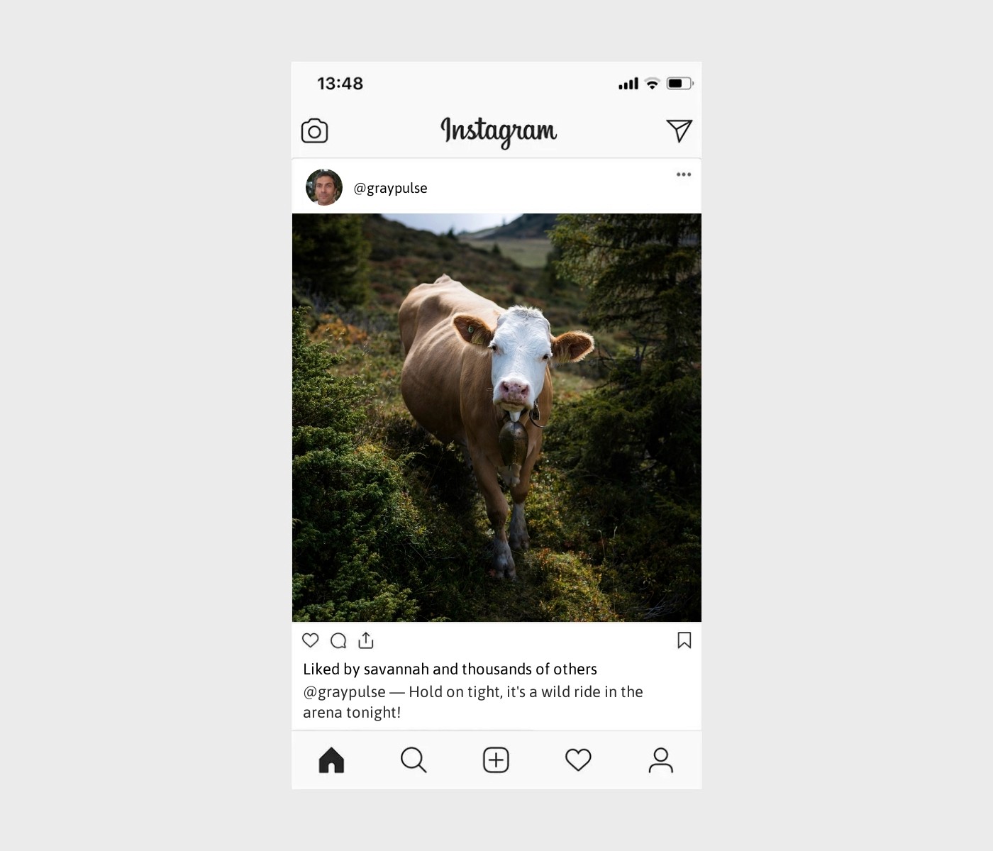 bull-riding-captions-for-instagram