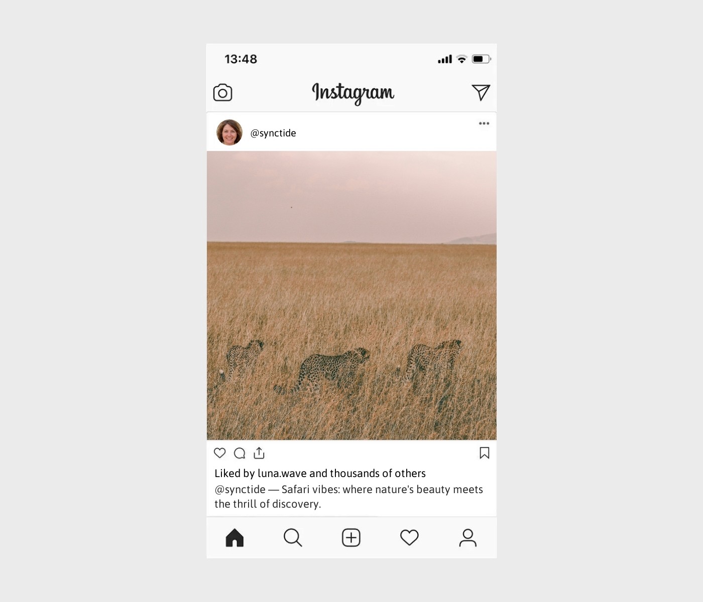 safari-captions-for-instagram
