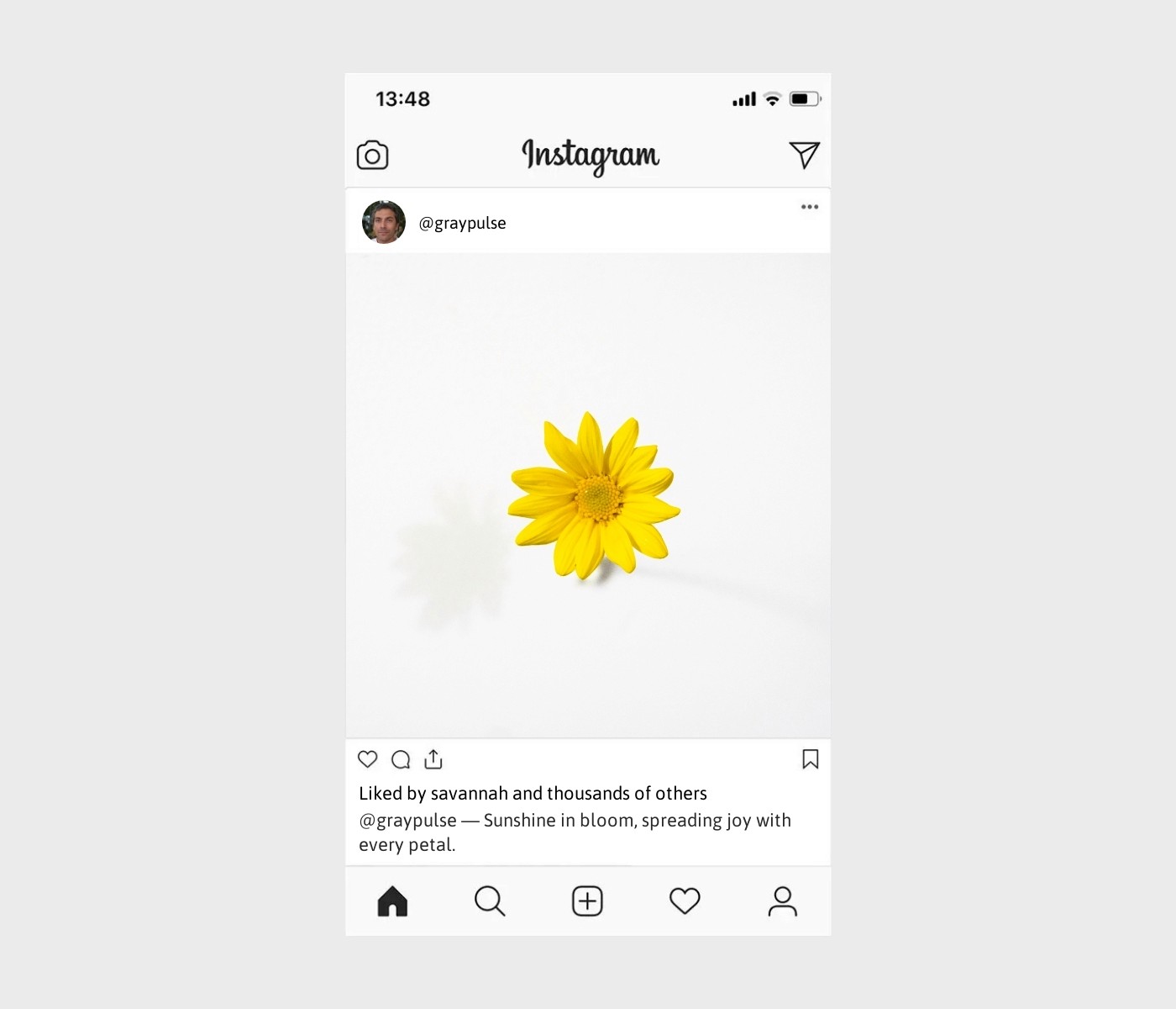 yellow-flower-captions-for-instagram