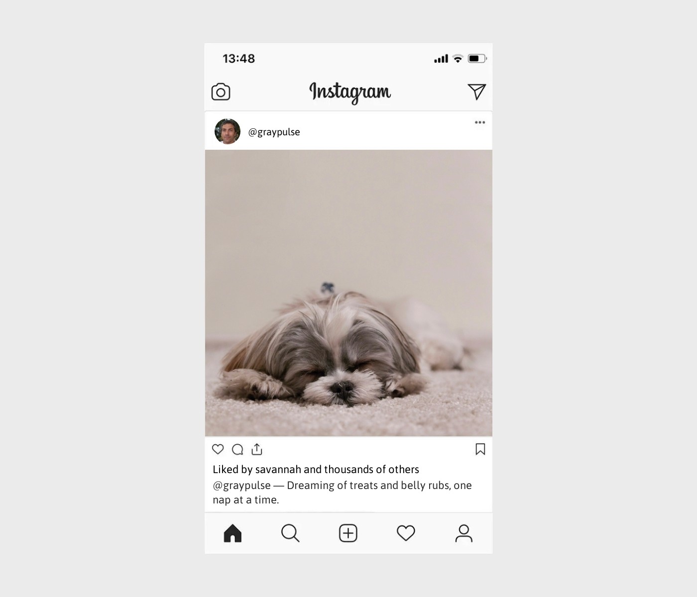 dog-sleeping-caption-for-instagram