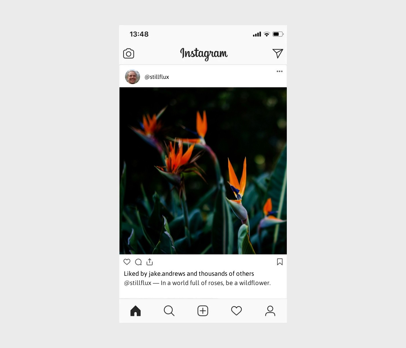 flower-garden-captions-for-instagram