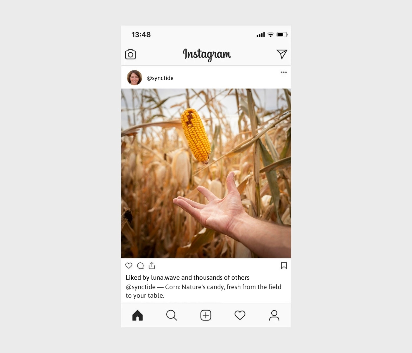 corn-captions-for-instagram