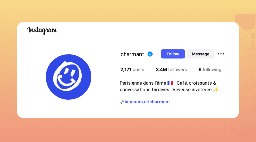 French Instagram Bios ideas and examples