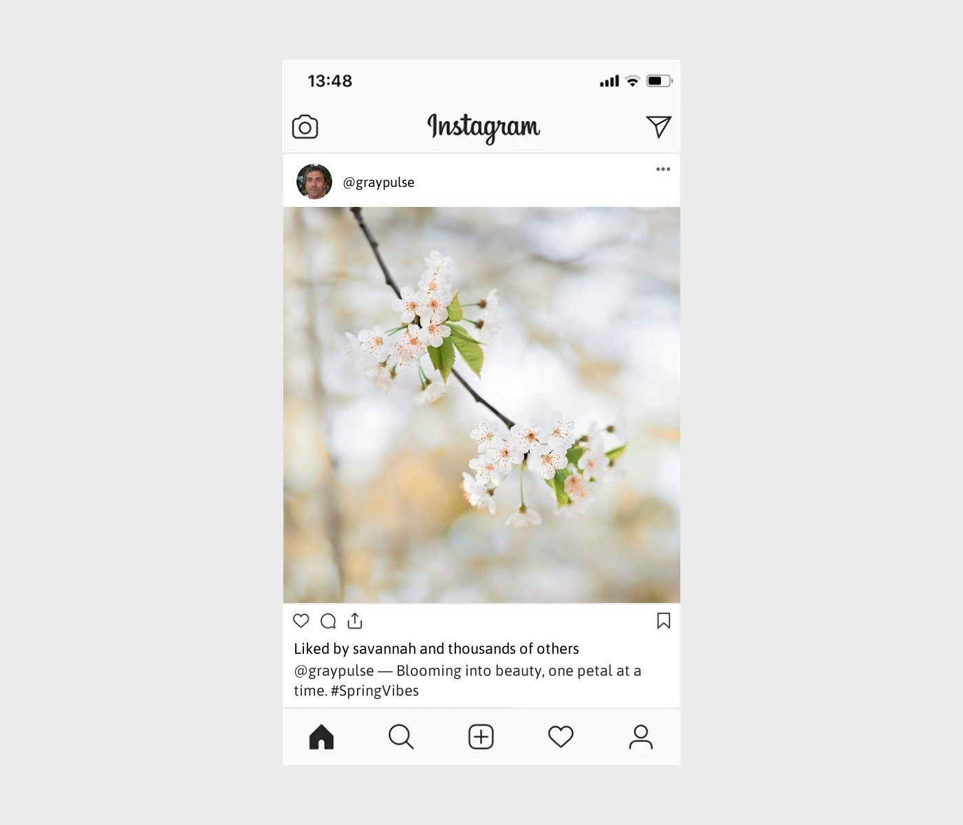 blossom-captions-for-instagram