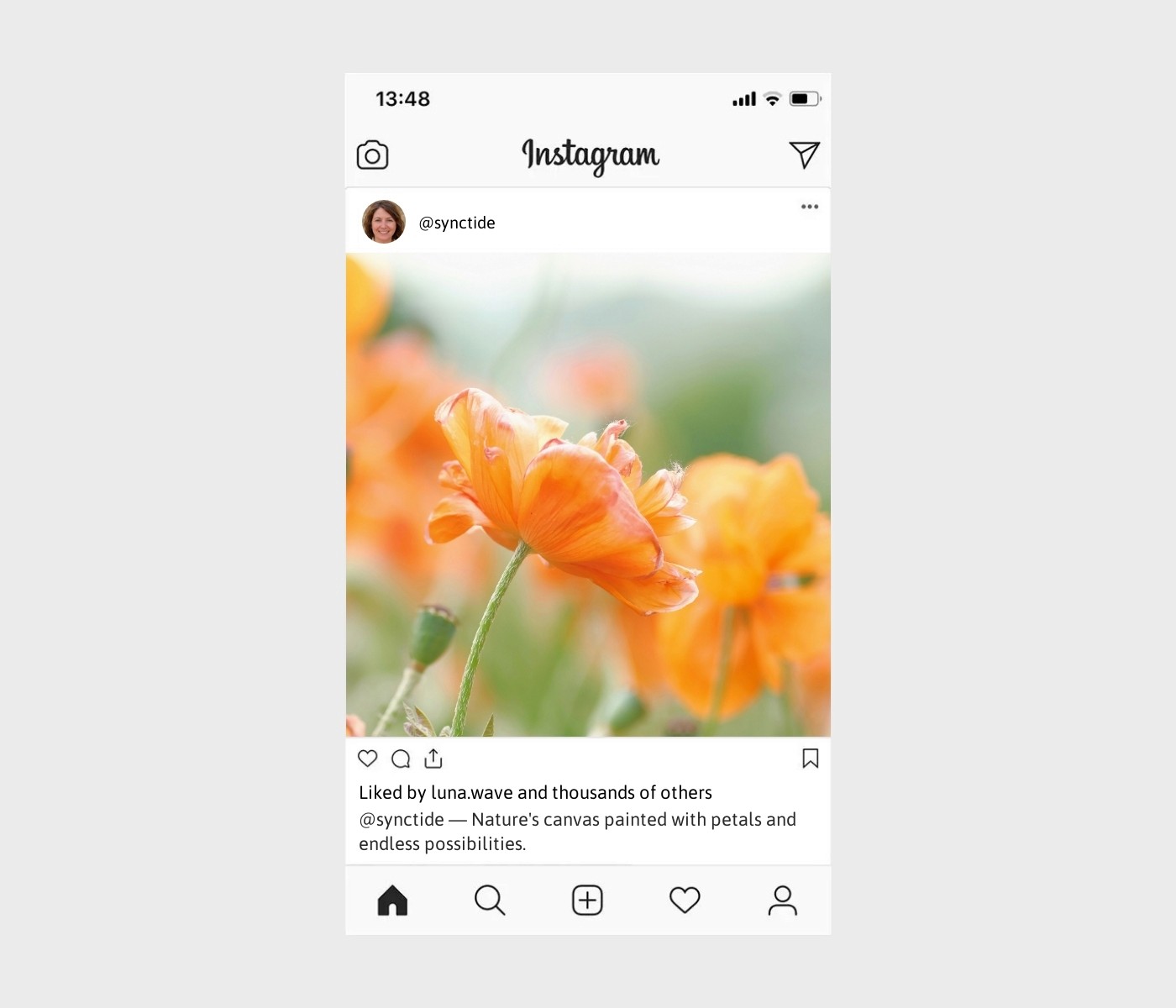flower-field-captions-for-instagram