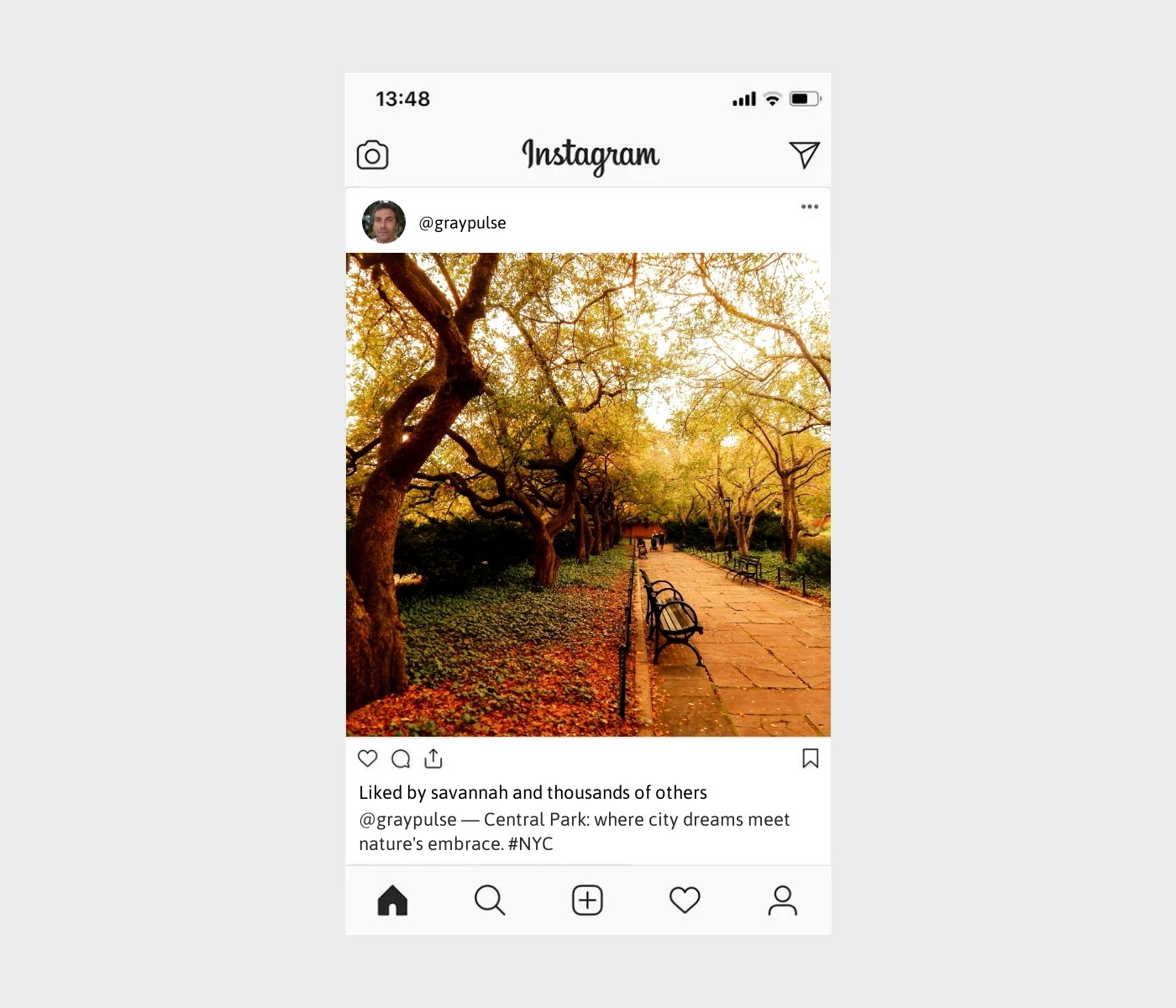 central-park-captions-for-instagram