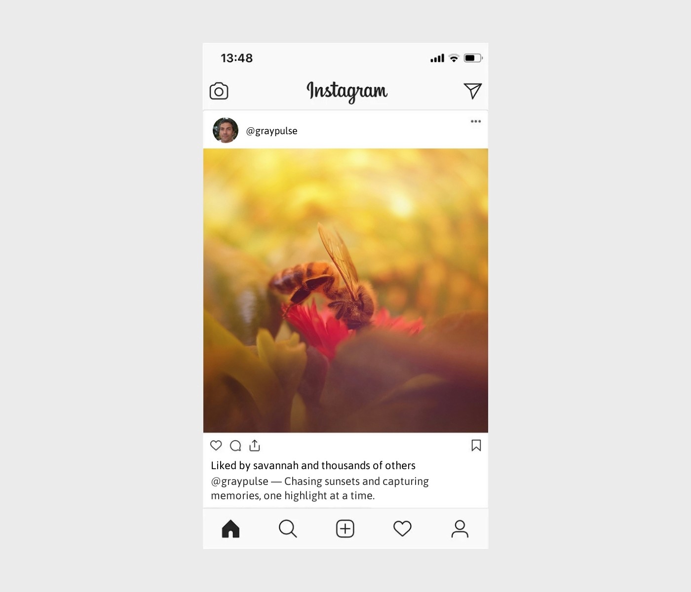 highlight-captions-for-instagram