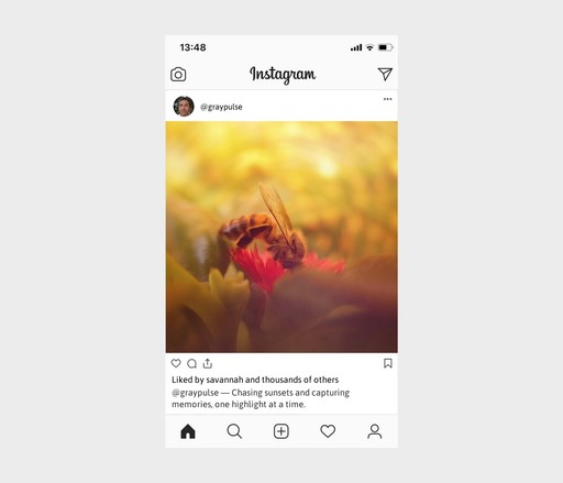 100+ Highlight Captions For Instagram To Inspire You - My Framer Site