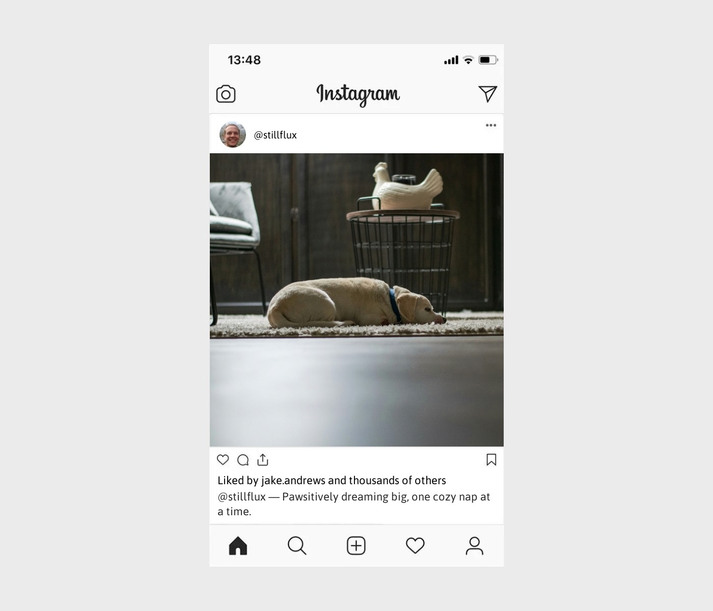 dog-sleeping-caption-for-instagram