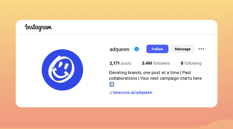 Paid Promotion Instagram Bios for Influencers samples