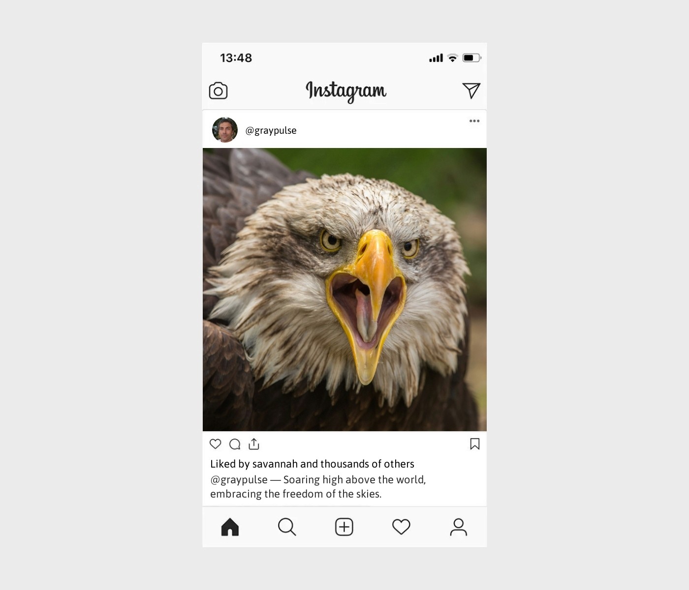 eagles-captions-for-instagram