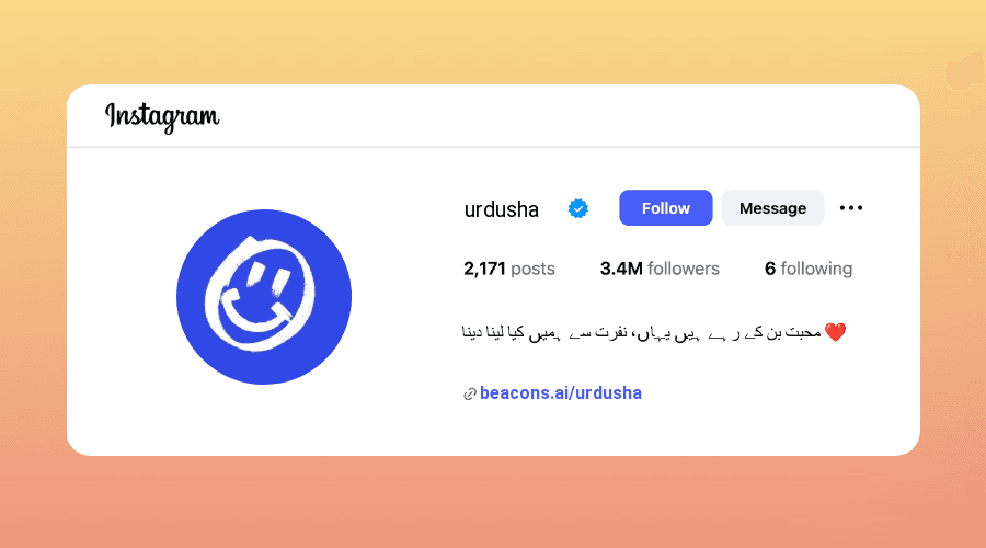 Urdu Instagram Bios ideas and examples