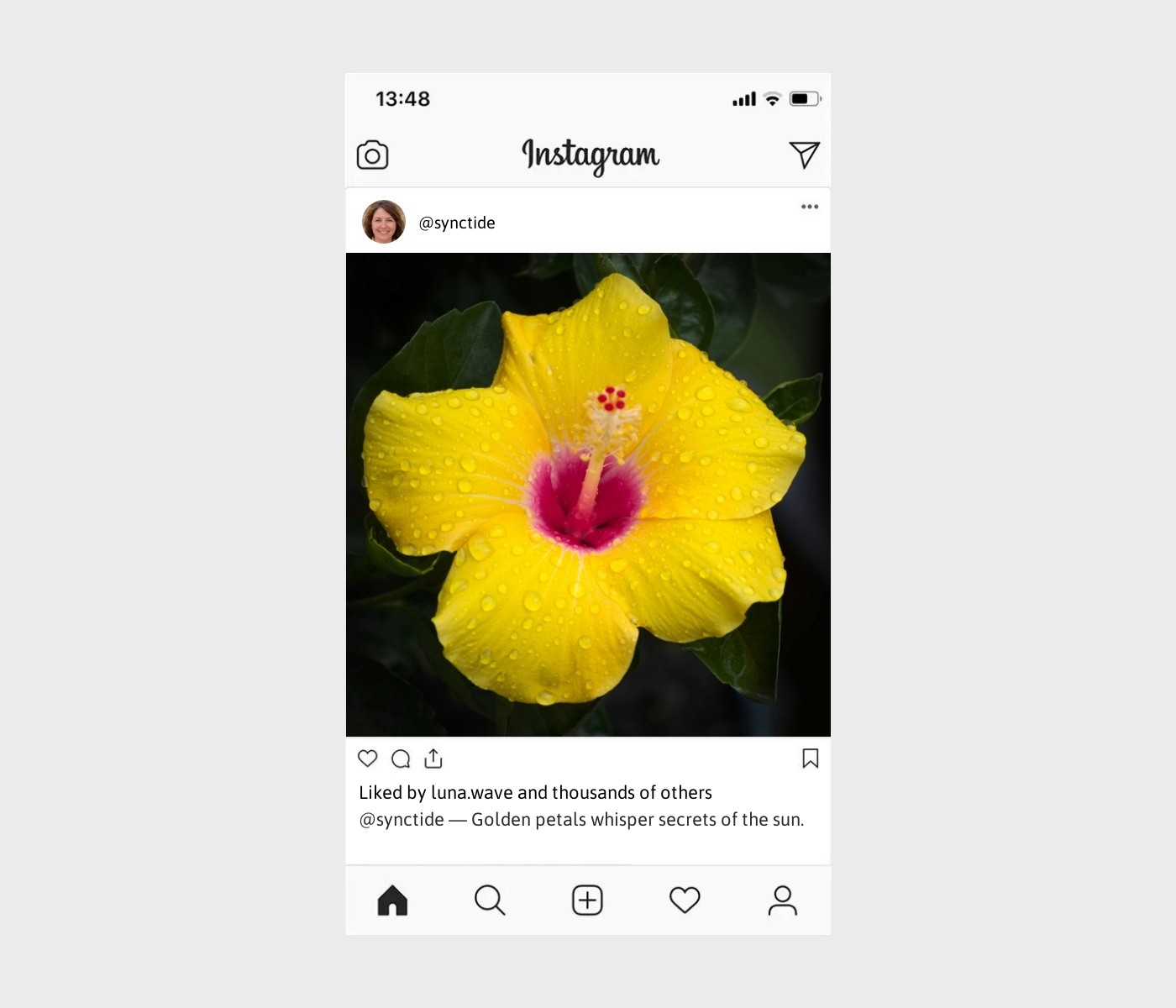 yellow-flower-captions-for-instagram