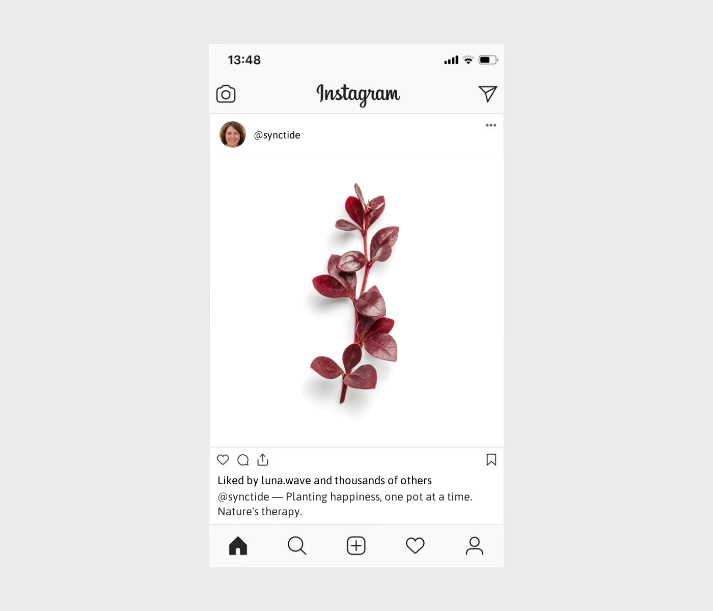 plant-captions-for-instagram