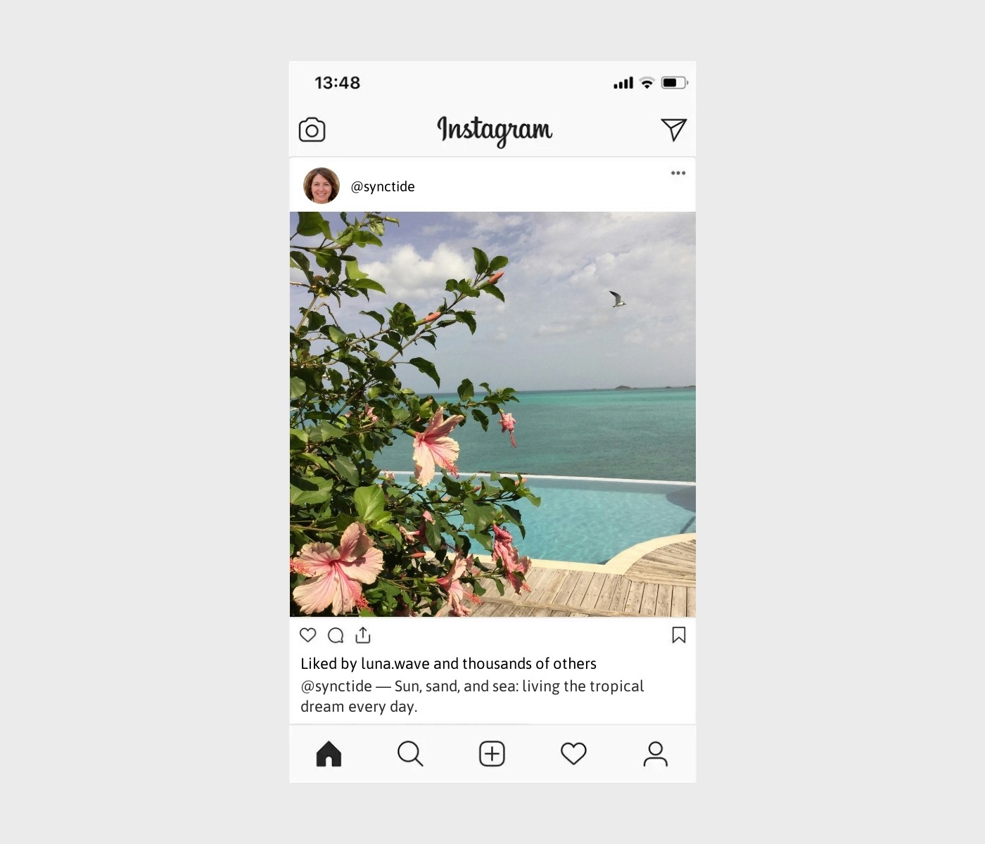 tropical-captions-for-instagram