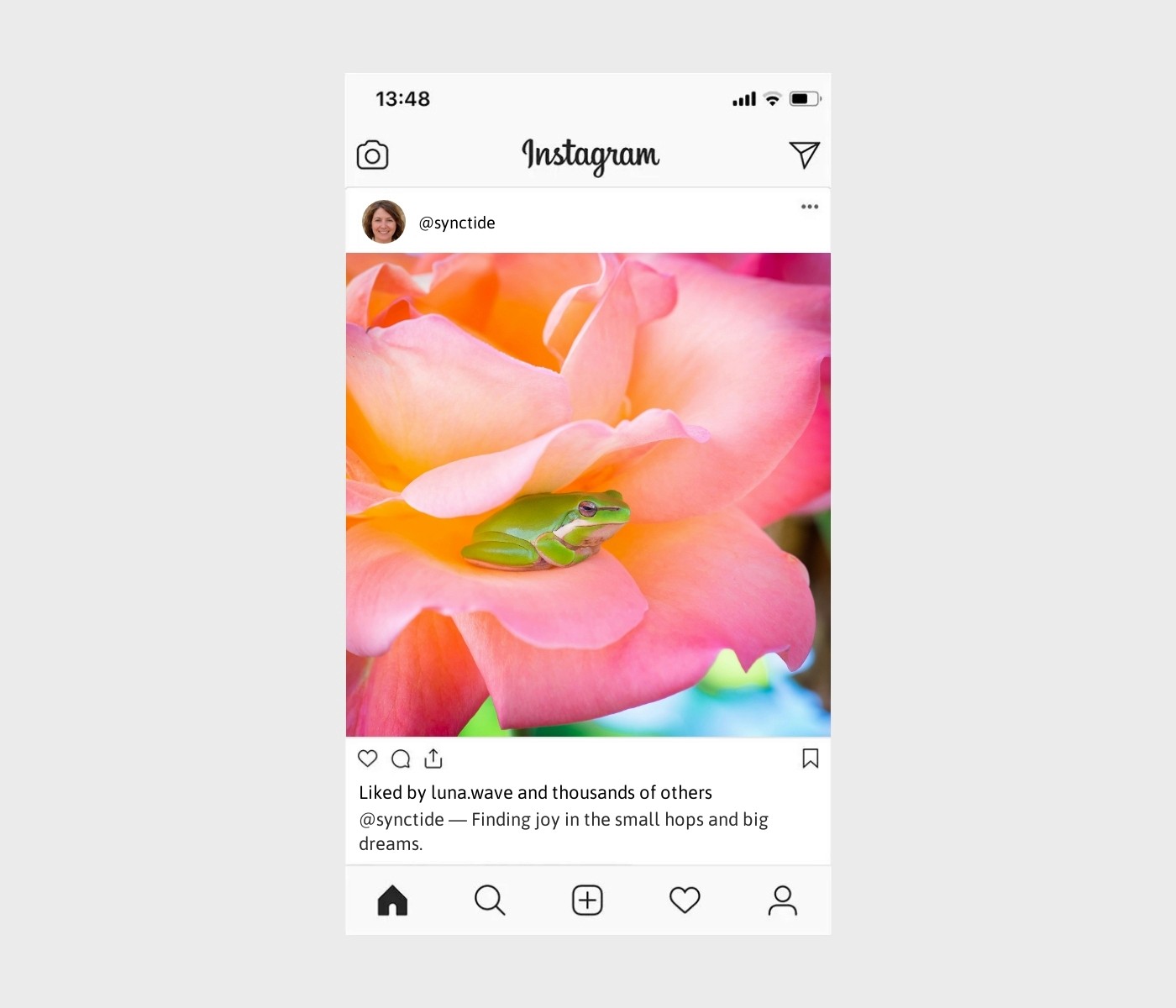 frog-captions-for-instagram