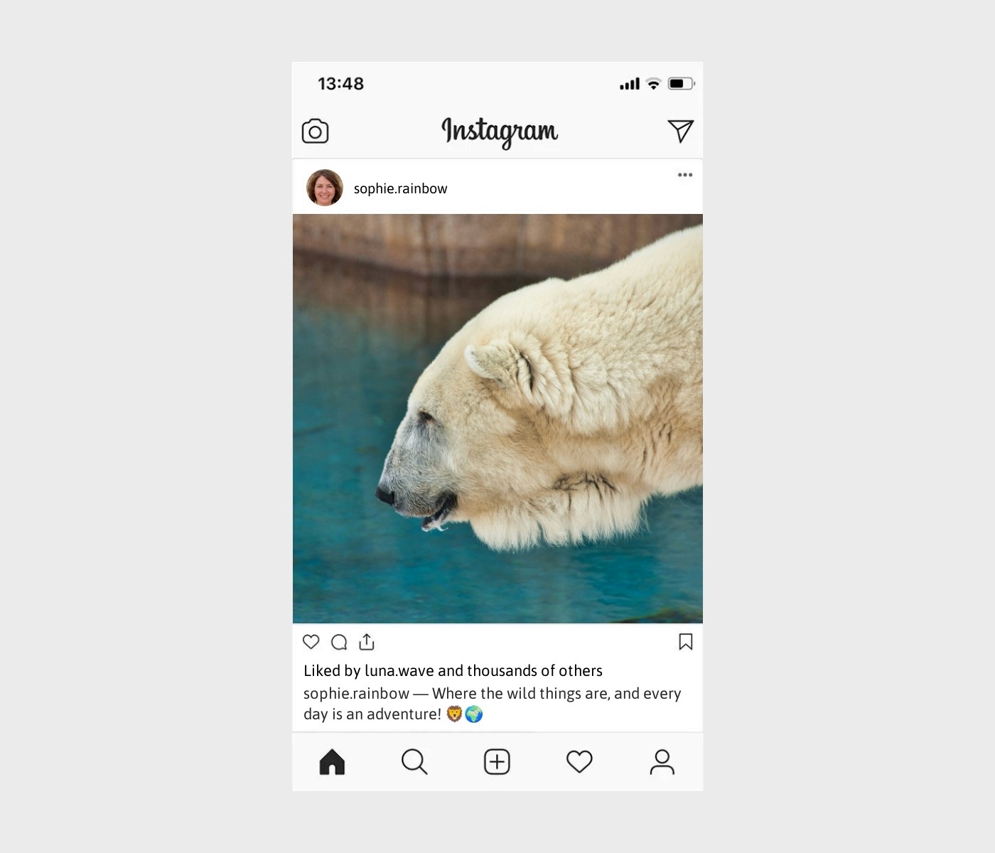 zoo-captions-for-instagram