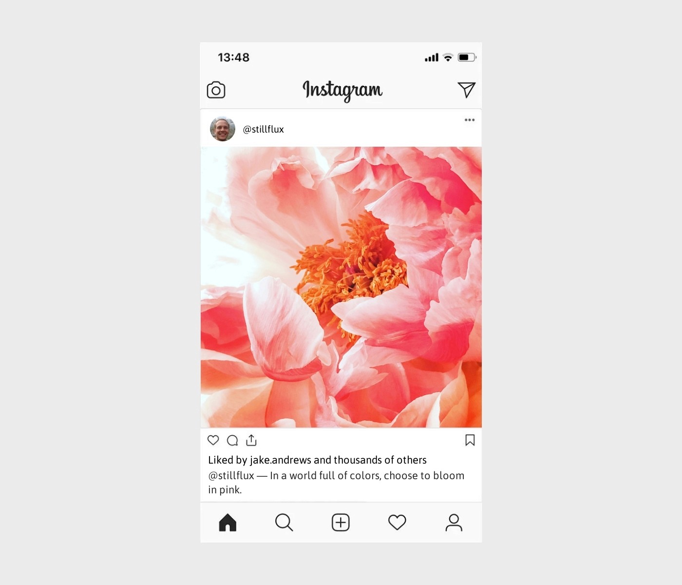 pink-flower-captions-for-instagram