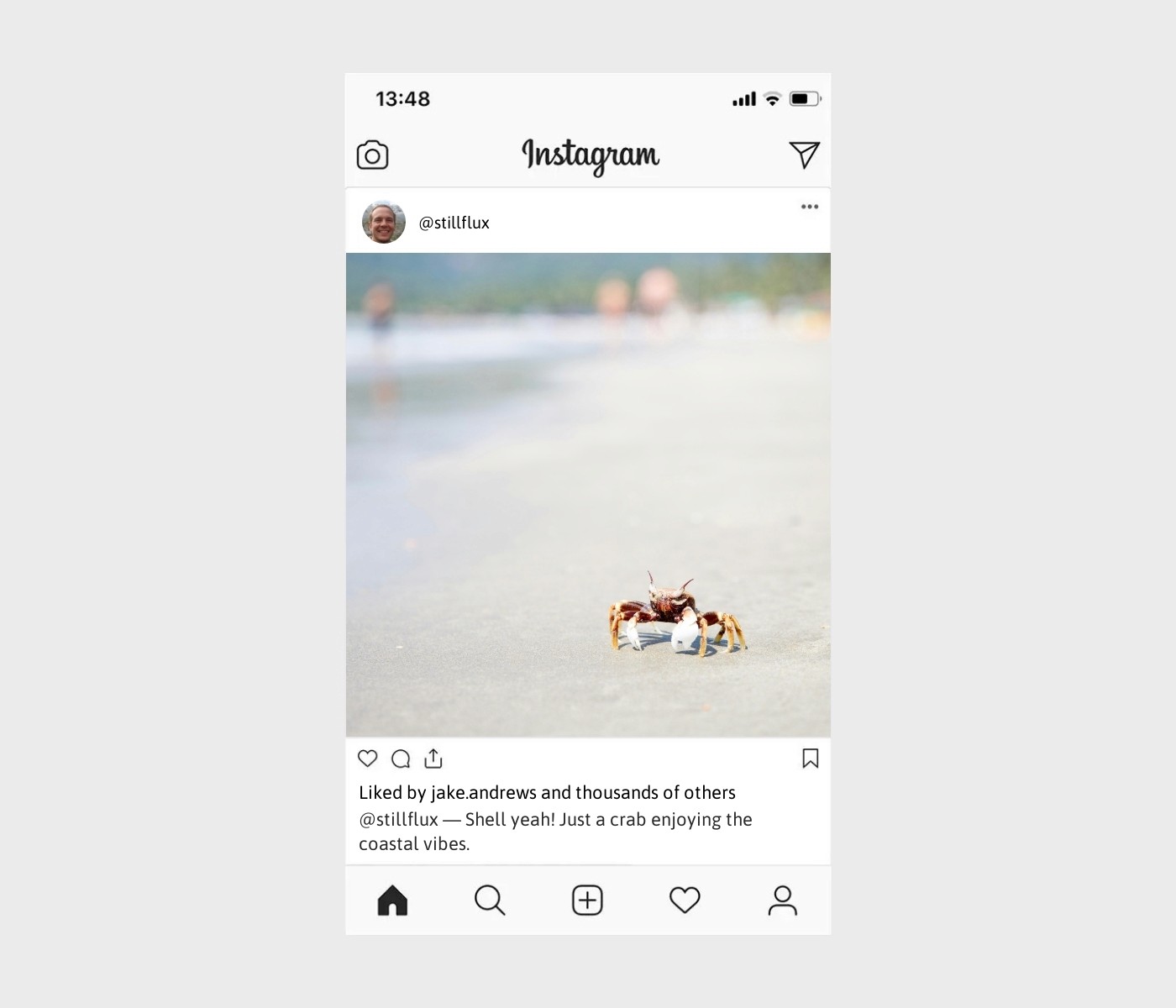 crab-captions-for-instagram