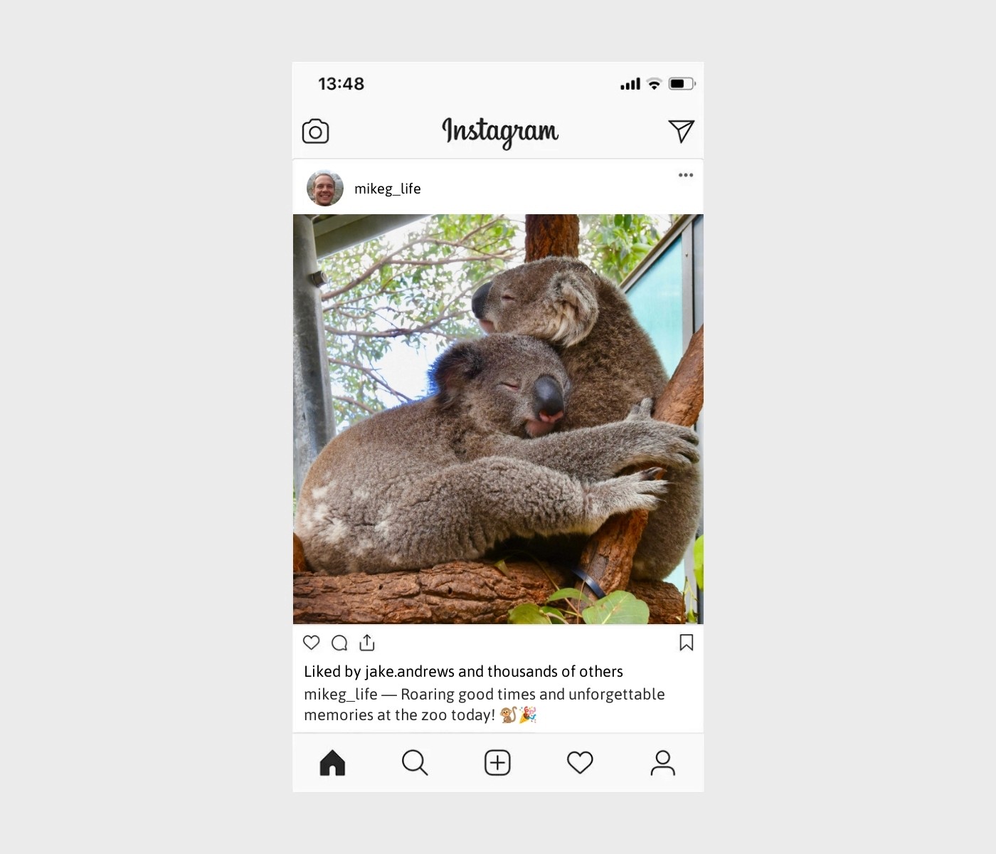 zoo-captions-for-instagram